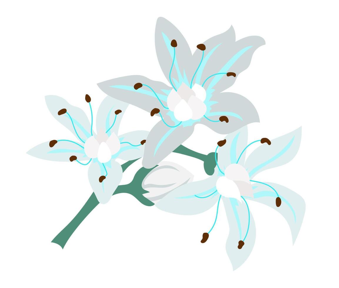 Abstract white lilly flowers in flat design. Blooming wedding bouquet. illustration isolated. vector