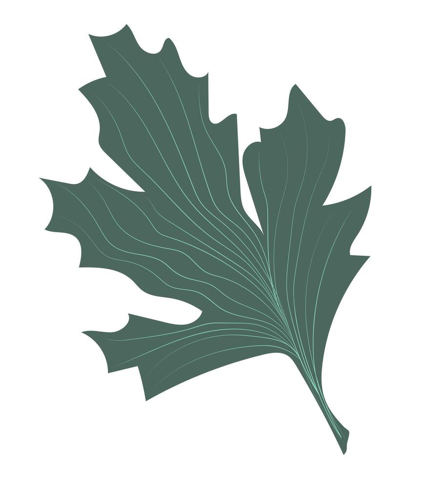 Abstract green oak leaf in flat design. Simple forest tree foliage. illustration isolated. vector