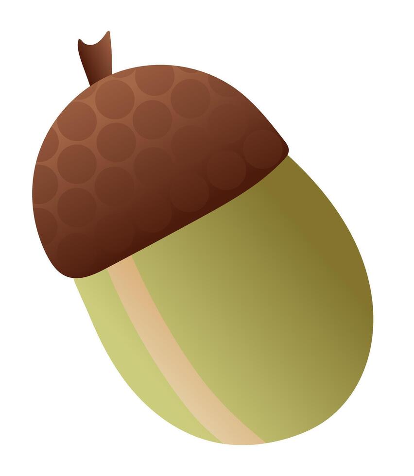 Acorn of oak tree in flat design. Seasonal forest tree seed with brown cap. illustration isolated. vector