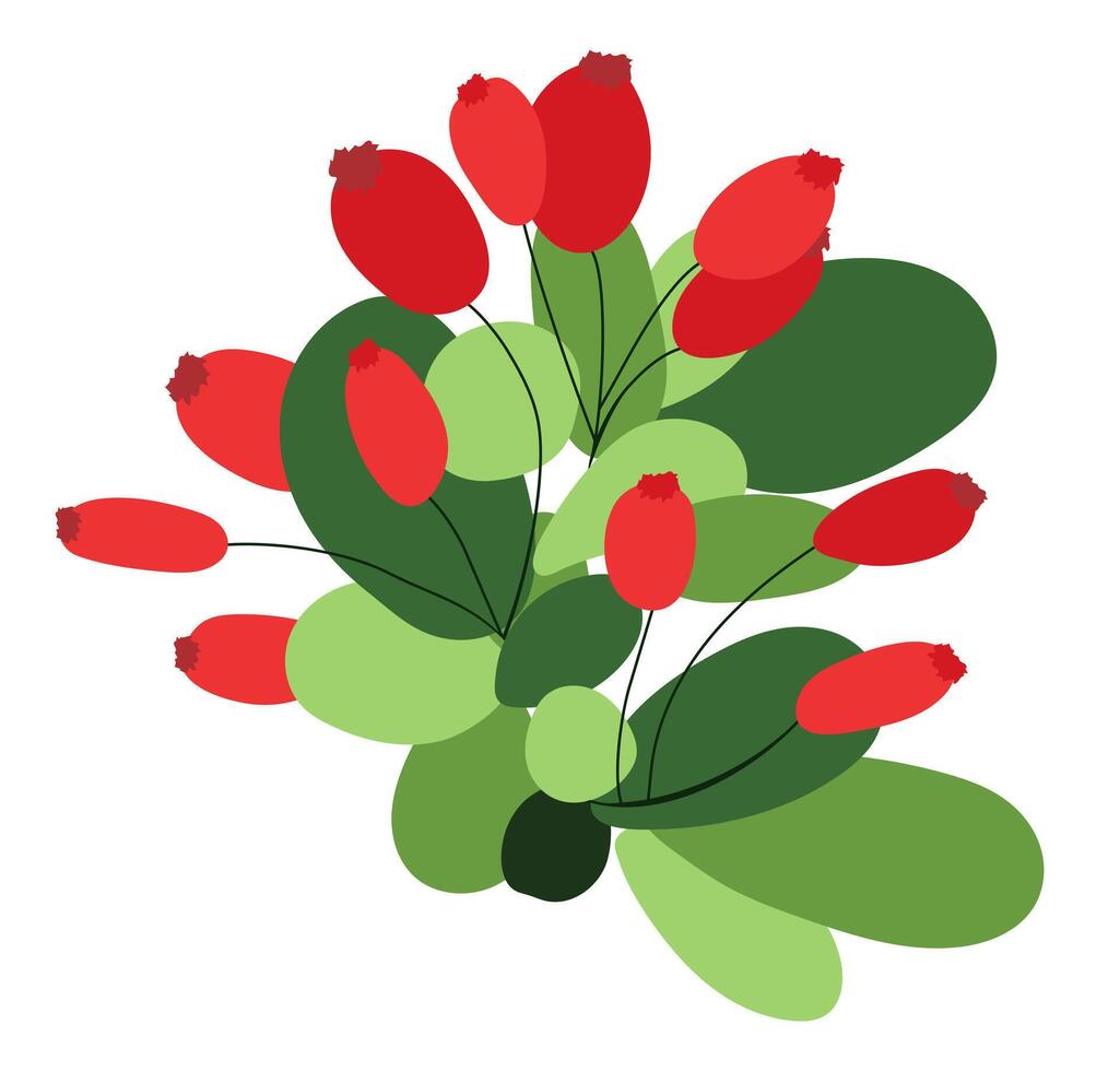 Barberry branch with leaves in flat design. Red berries on green twig. illustration isolated. vector