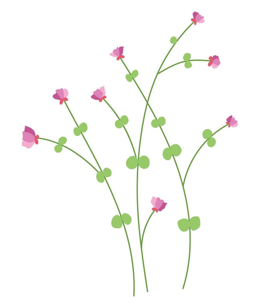 Pink wildflower in flat design. Blooming delicate springtime flower. illustration isolated. vector