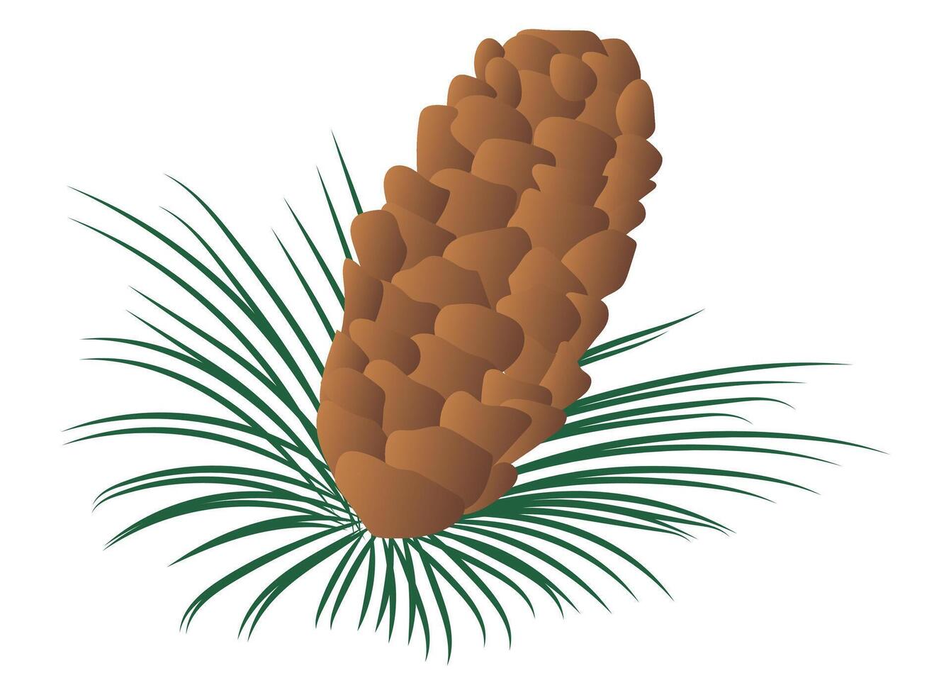 Brown pine cone with fir in flat design. Decorative conifer pinecone. illustration isolated. vector