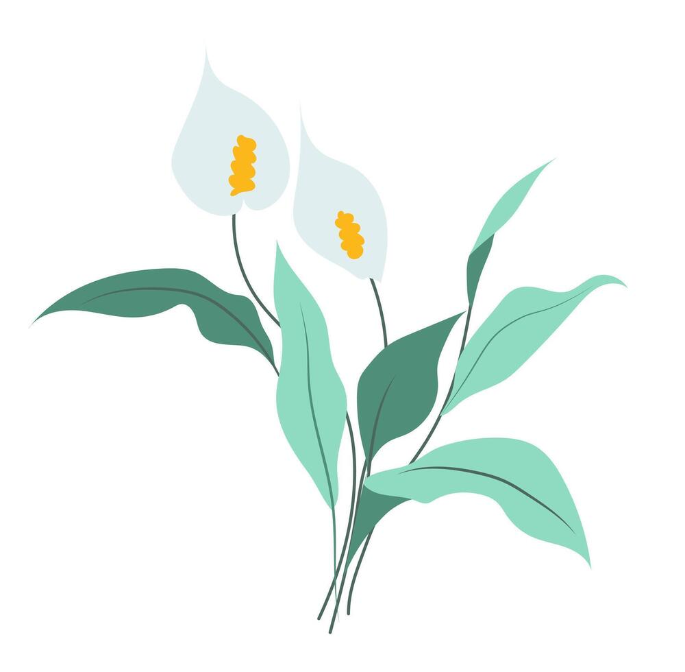 Abstract calla lily branch in flat design. Blooming white flowers with leaves. illustration isolated. vector
