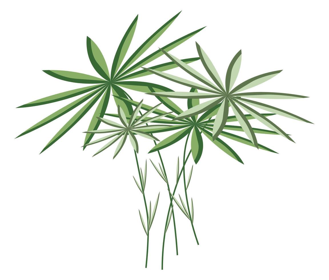 Abstract tropical plant with leaves in flat design. Green papyrus leaves. illustration isolated. vector