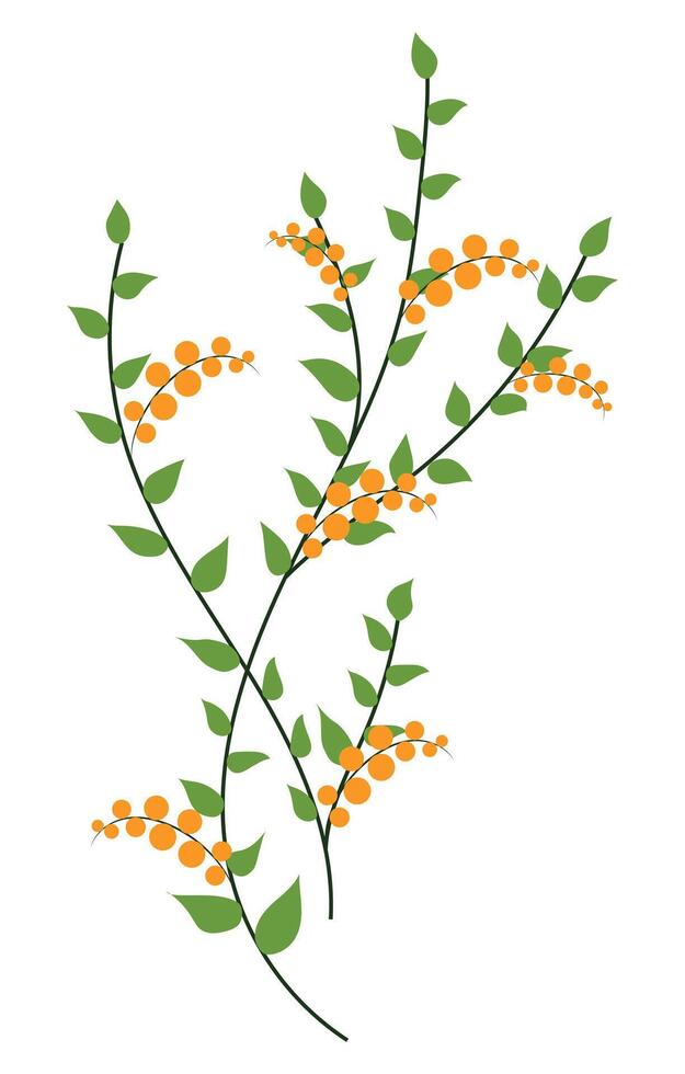 Orange berries on green branch in flat design. Abstract buckthorn twigs. illustration isolated. vector