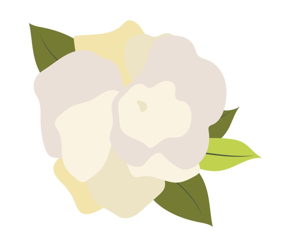 Abstract white petals rose with leaves in flat design. Peony blossom head. illustration isolated. vector