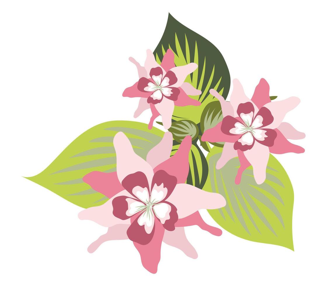 tropical flores con hojas en plano diseño. floreciente fucsia o orquídeas. ilustración aislado. vector