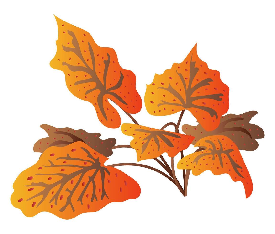 Orange and brown big leaves on bush in flat design. Autumn shrub foliage. illustration isolated. vector