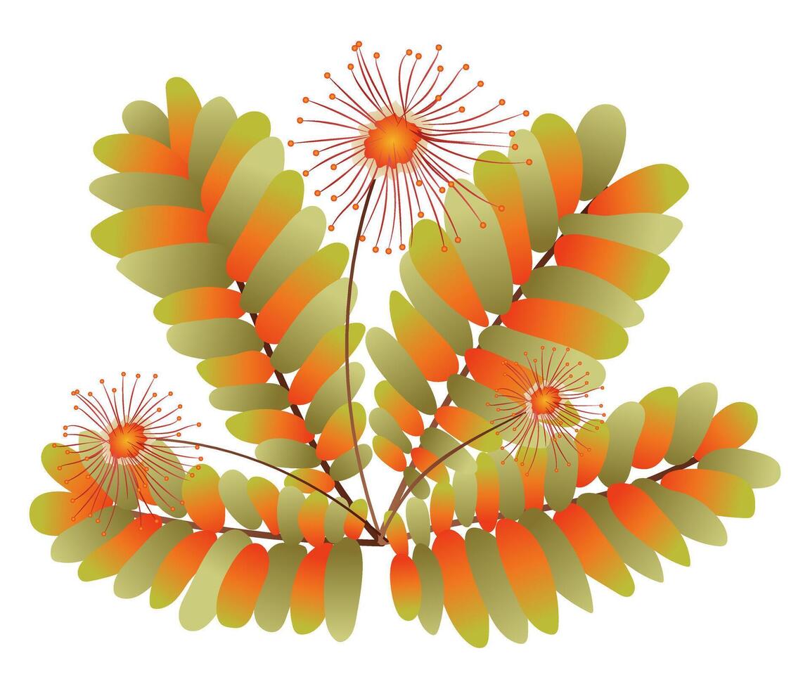 Autumn leaves and dry flowers in flat design. Abstract fall shrub foliage. illustration isolated. vector
