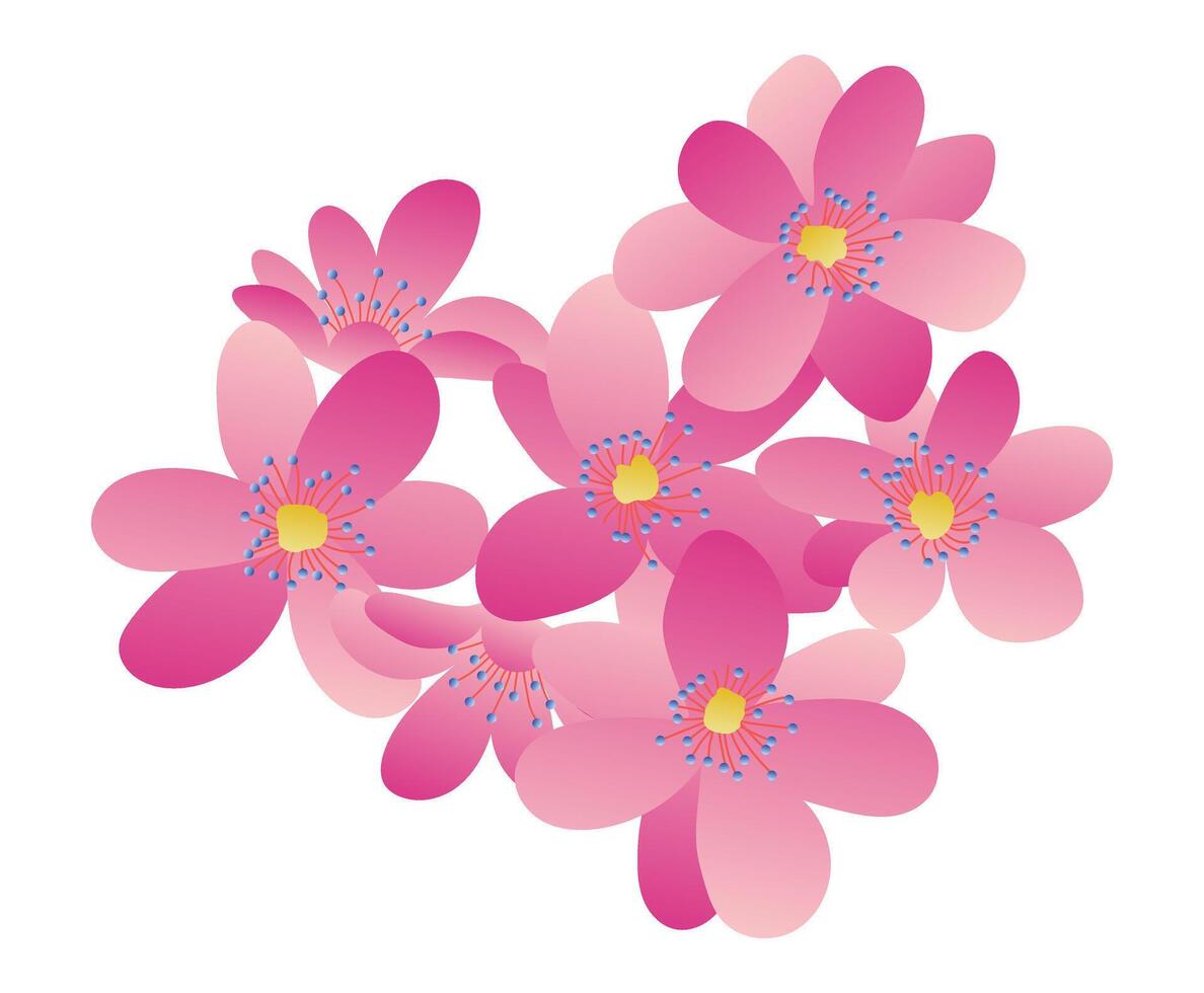 rosado Cereza flores en plano diseño. floreciente primavera sakura flores ilustración aislado. vector