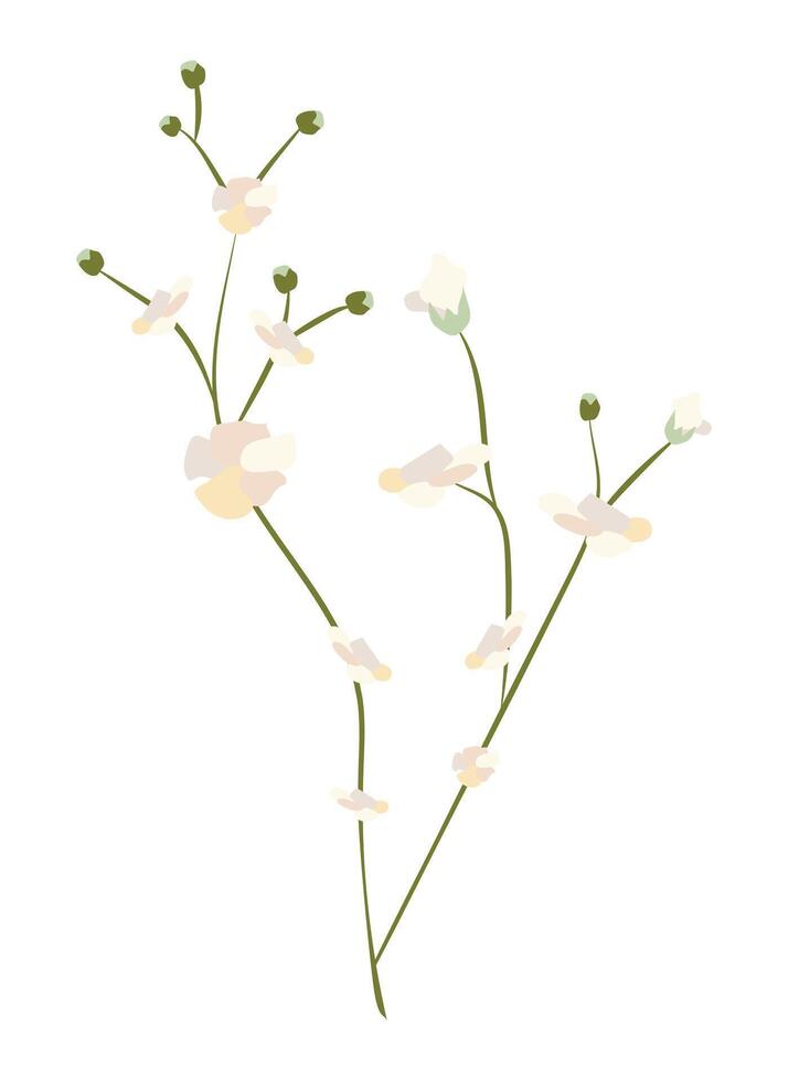 Abstract gentle flowers on twig in flat design. Softness blossom bouquet. illustration isolated. vector