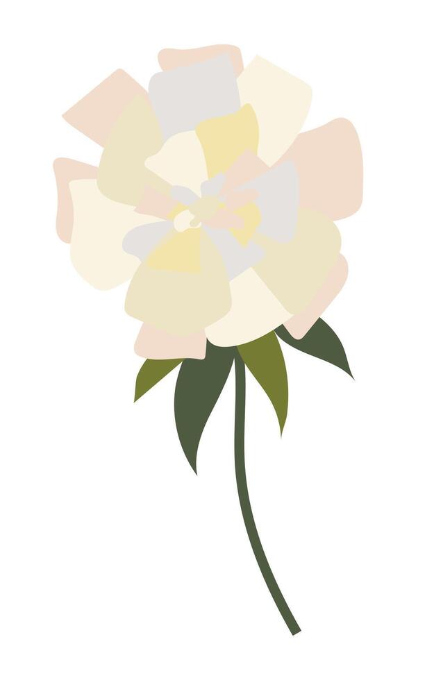 resumen blanco flor con muchos pétalos en plano diseño. floreciente peonía. ilustración aislado. vector