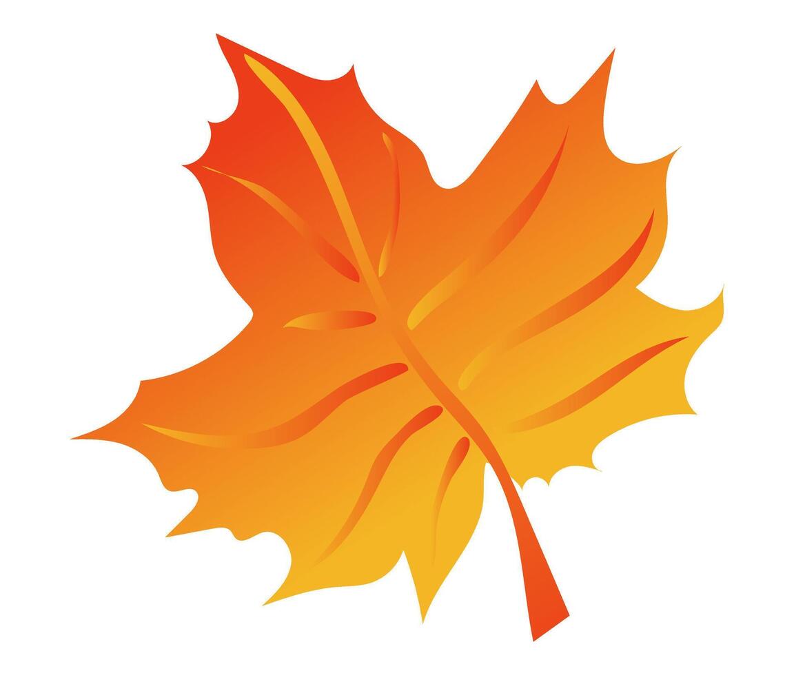 Autumn orange maple leaf with veins in flat design. Fall decorative foliage. illustration isolated. vector