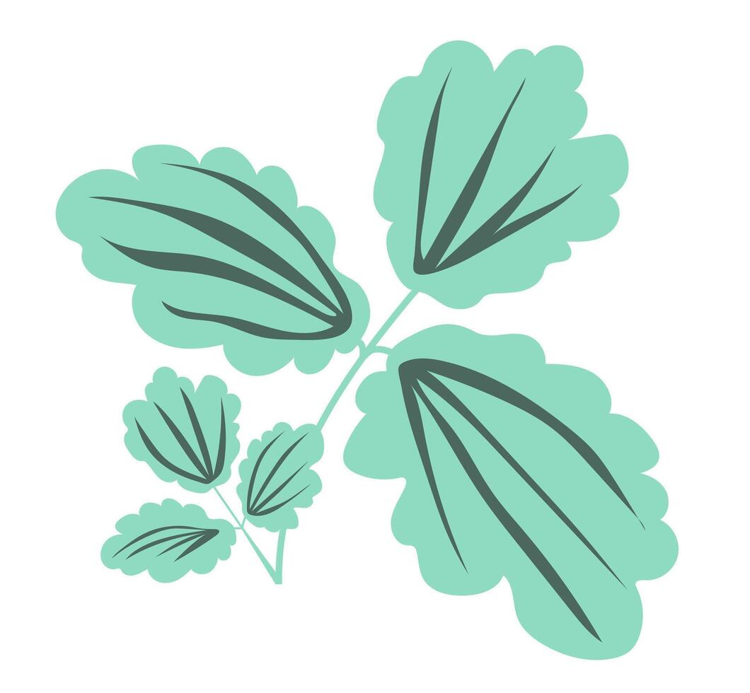Abstract plantain leaves in flat design. Greenery branch, herbal foliage. illustration isolated. vector