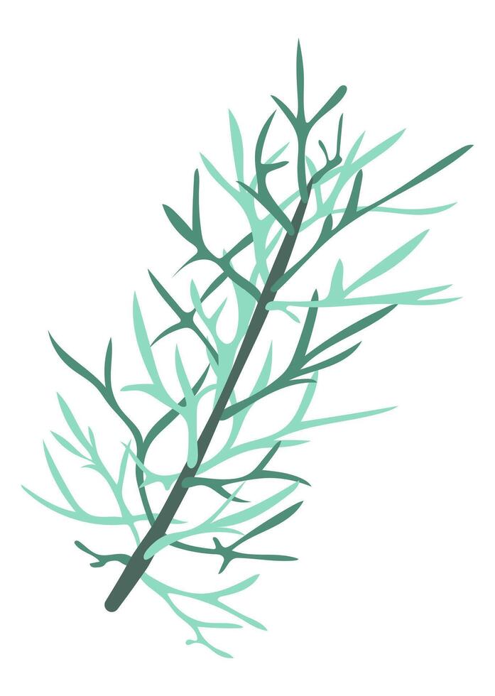 resumen verde eneldo hierba en plano diseño. Romero rama con leña menuda. ilustración aislado. vector