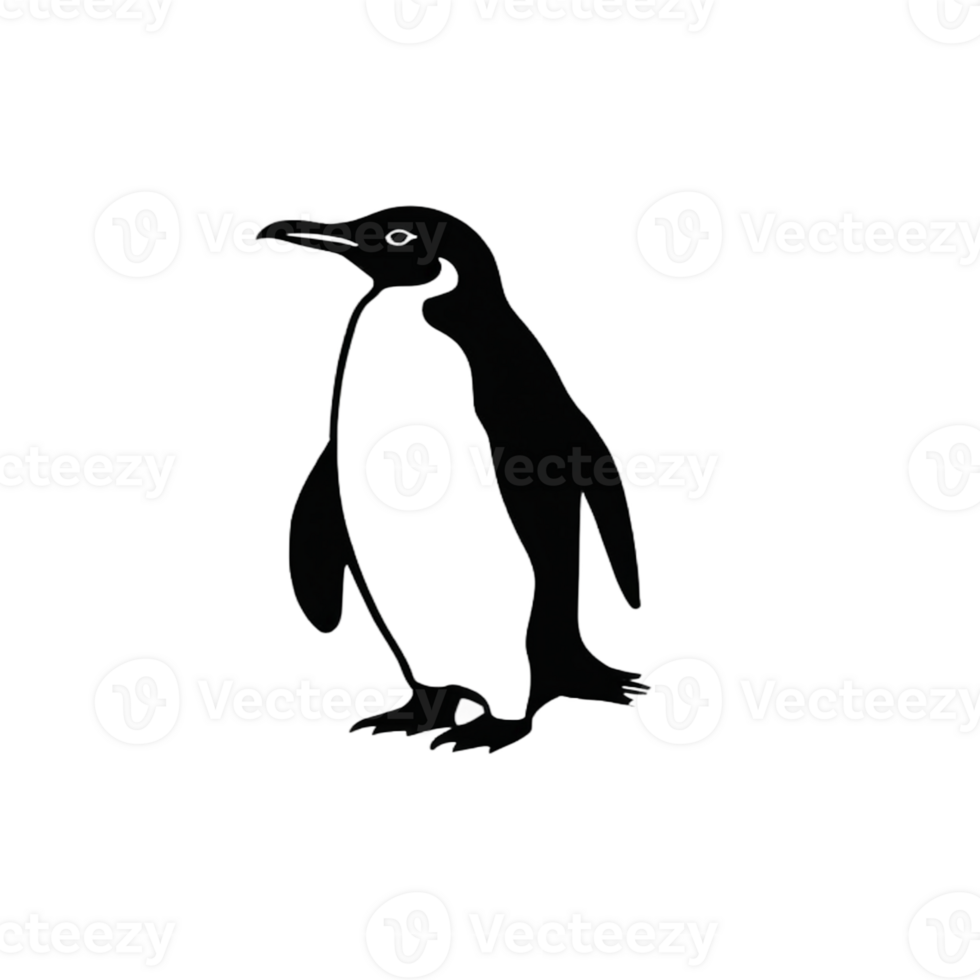 Collection of Simple Penguin Logo Designs Isolated png