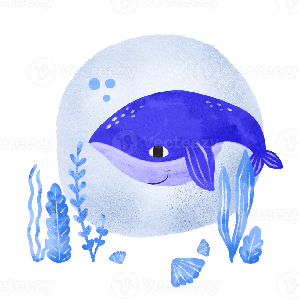 Composition with a blue whale on the seabed with algae and corals. Cute hand drawn illustration on isolated background png