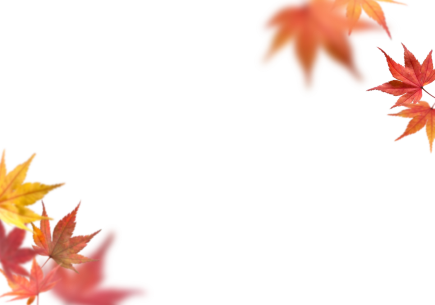 fall leaves without background png