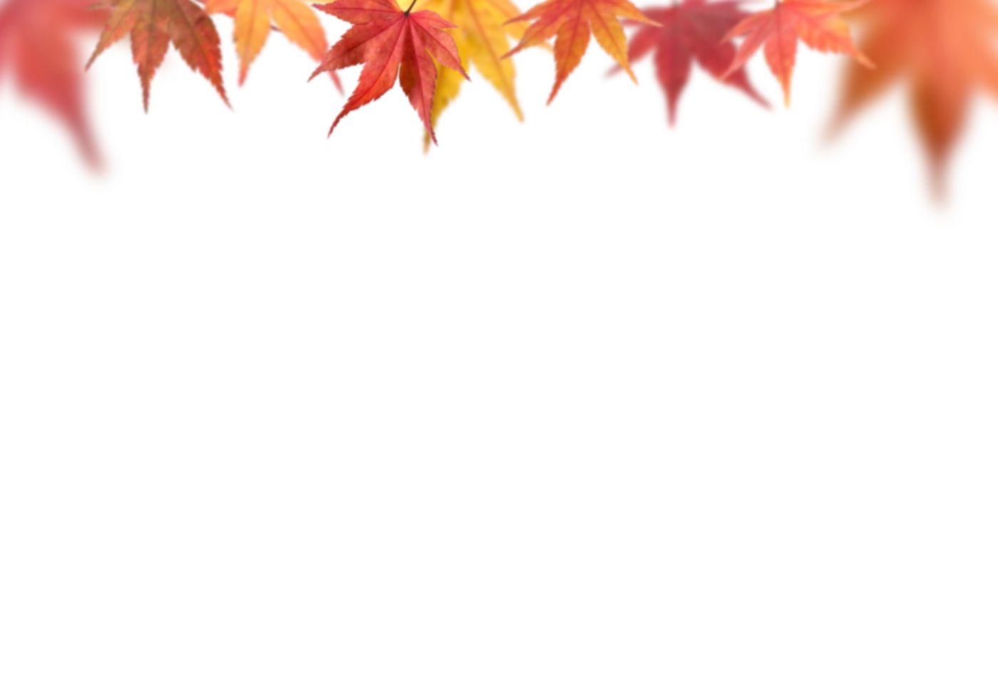 red yellow fall leaves without background png