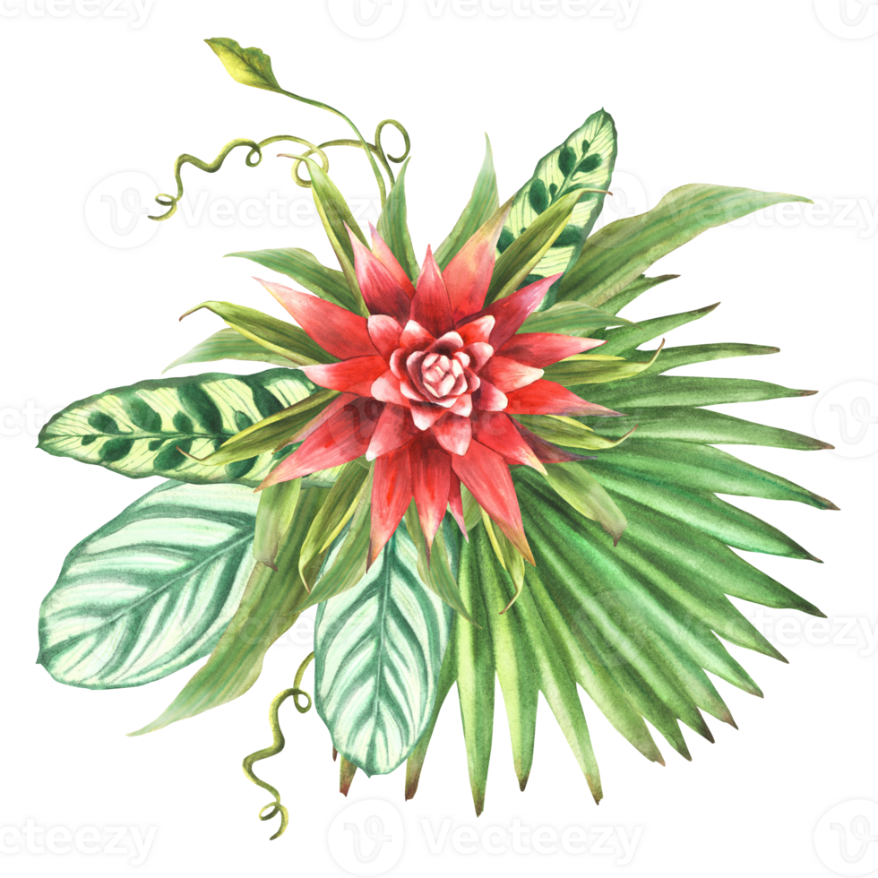 tropisch bladeren met rood bloemen, palm blad, klimplant gebladerte boeket, huis fabriek groen. exotisch zuiden blad, knop oerwoud bloemen clip art. waterverf hand- getrokken illustratie. png