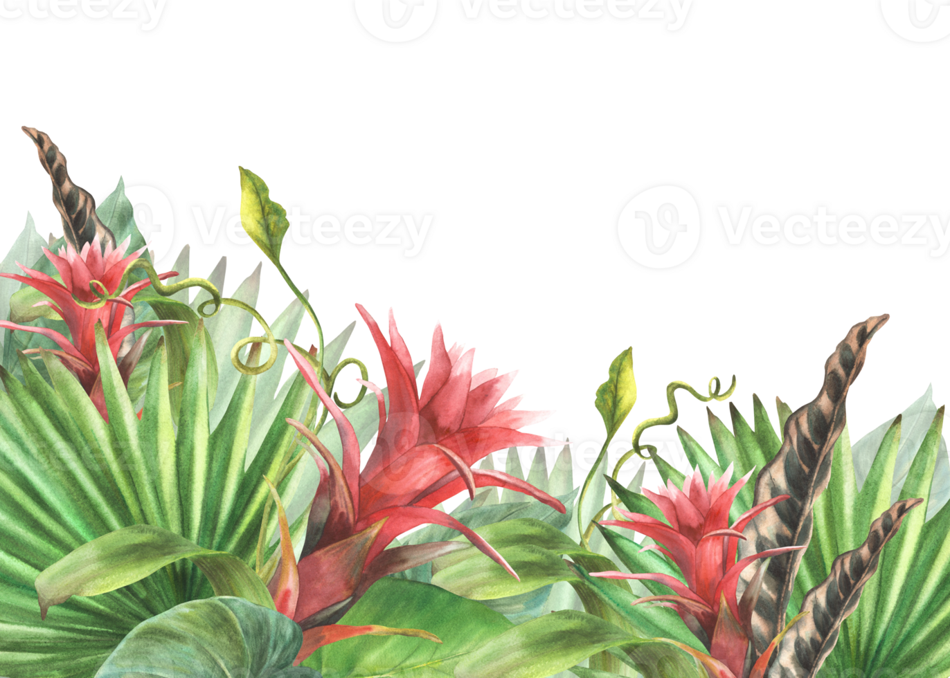 Tropical leaves and flowers banner, bromeliad, palm leaf, calathea, exotic creeper, home plant card template Jungle greenery floral clipart. Watercolor painted illustration background png