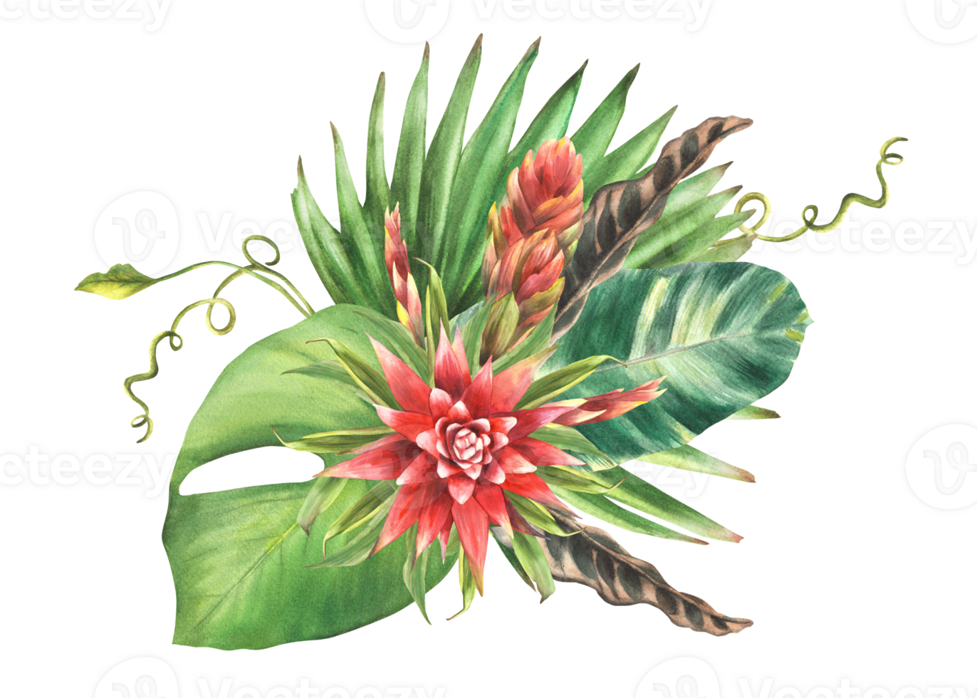 Tropical leaves with red flowers, palm leaf, creeper foliage bouquet, home plant greenery. Exotic south leaf, bud jungle floral clipart. Watercolor hand drawn illustration. png