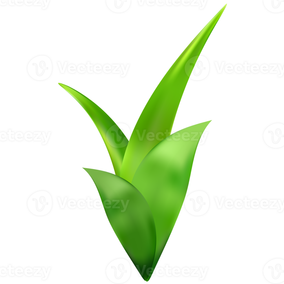 Green plants. Branches and leaves. png