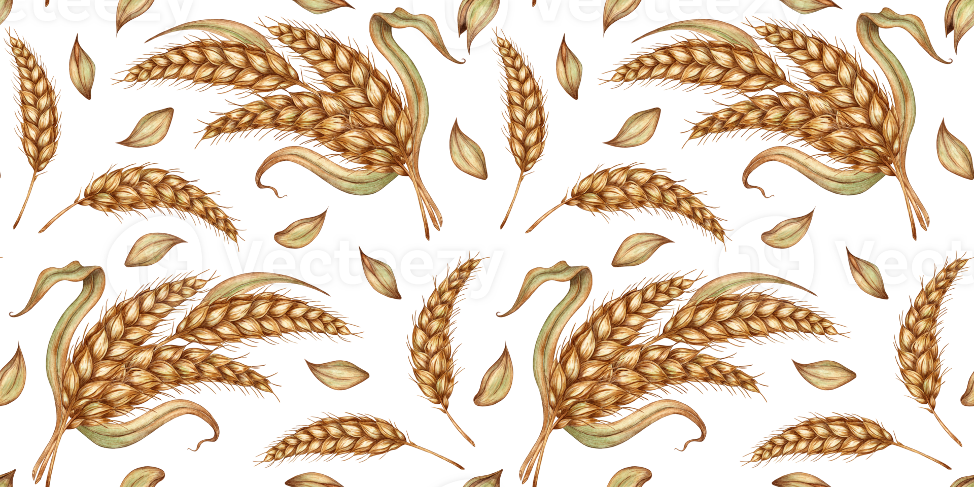 Wheat bouquets of ripe ears pattern watercolor illustration, dried stems, grains isolated from background. Rye cob, handmade oatmeal. Element for beer festival, fashion design, interior design, logos png