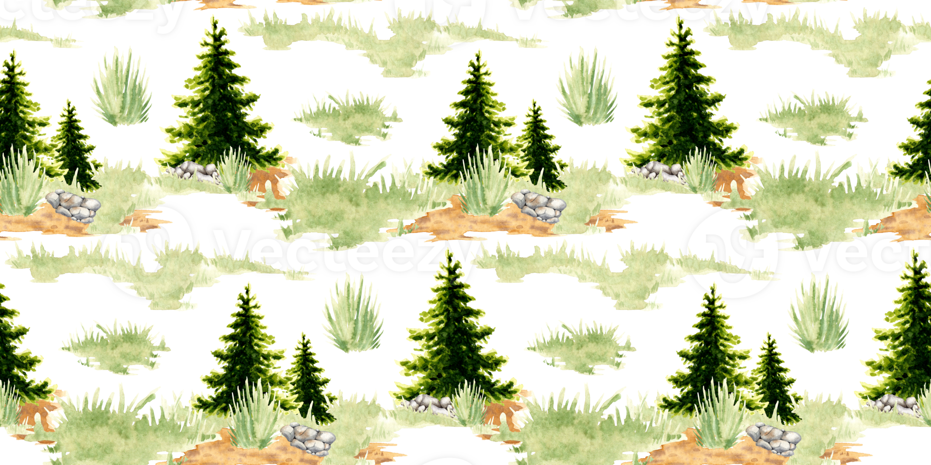 Spruce in a clearing in a forest natural landscape element pattern watercolor illustration. Forest wildlife scene with green grass, coniferous trees, fir, spruce, pine, stones. To compose compositions png