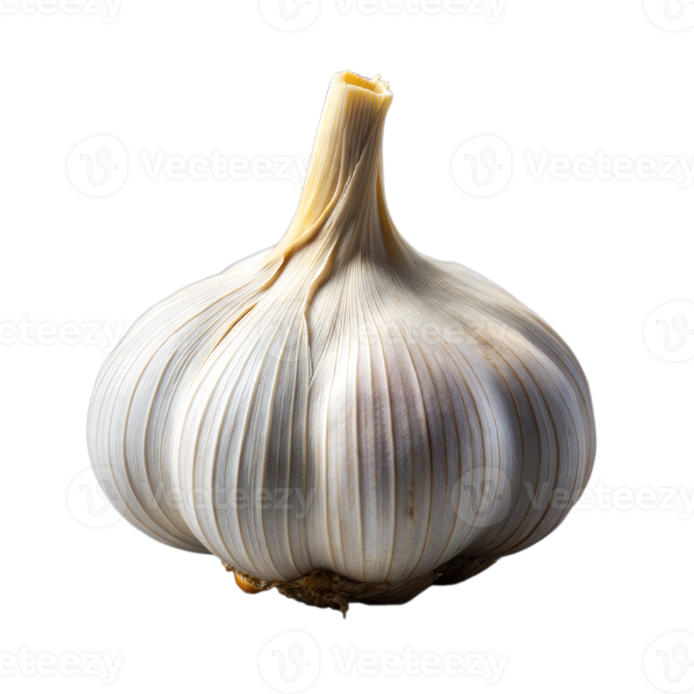 Whole Garlic Bulb Isolated on a Transparent Background, Close-Up View png