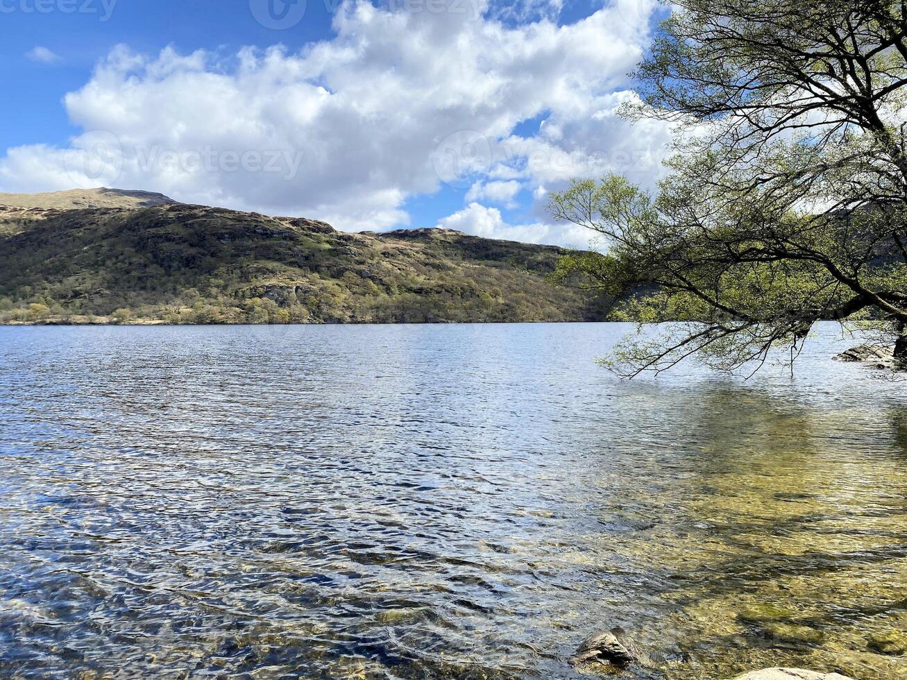 A view of Loch Lomond in Scotland on a sunny day photo