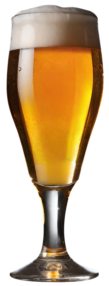 glas van vers bier png