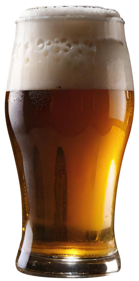 Glass of fresh beer png
