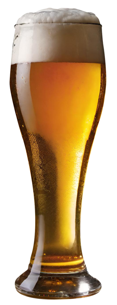 Glass of fresh beer png