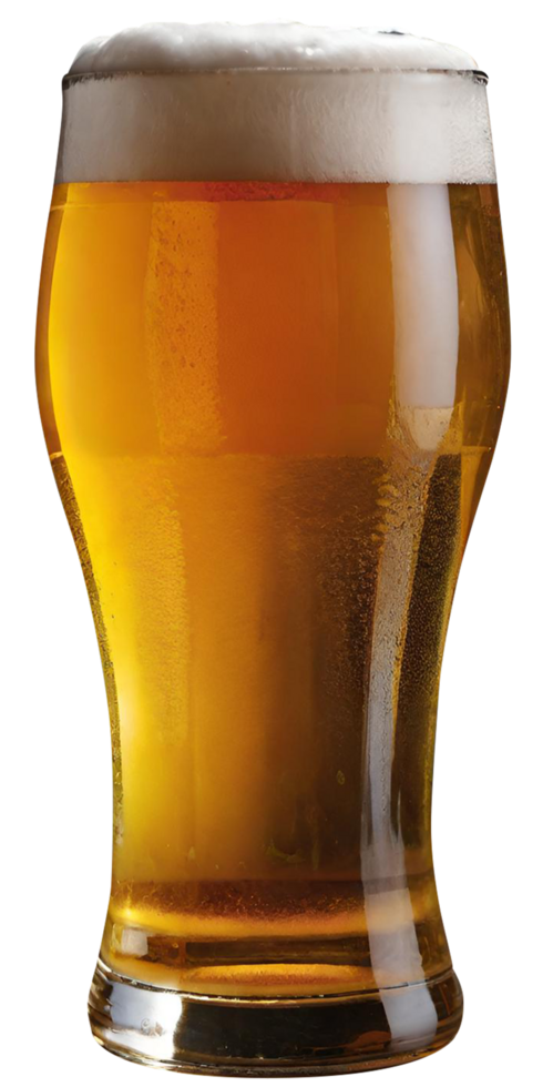 Glass of fresh beer png