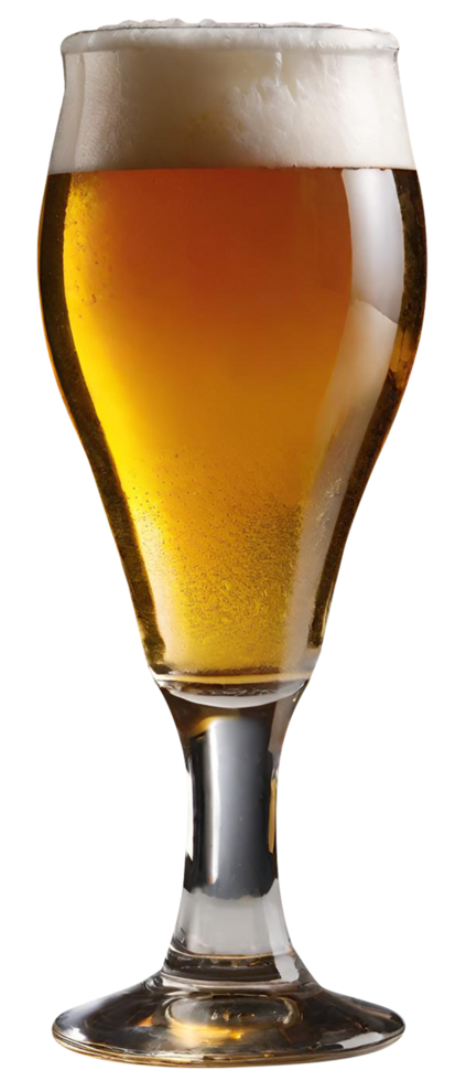 glas van vers bier png