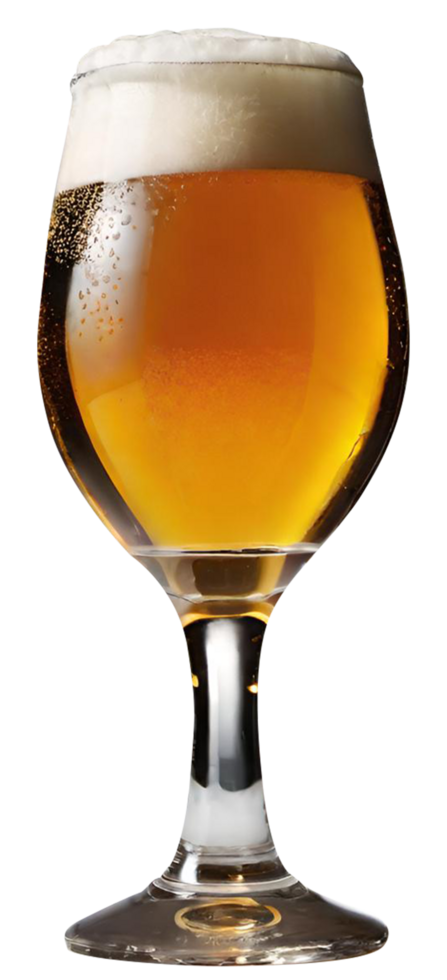 Glass of fresh beer png