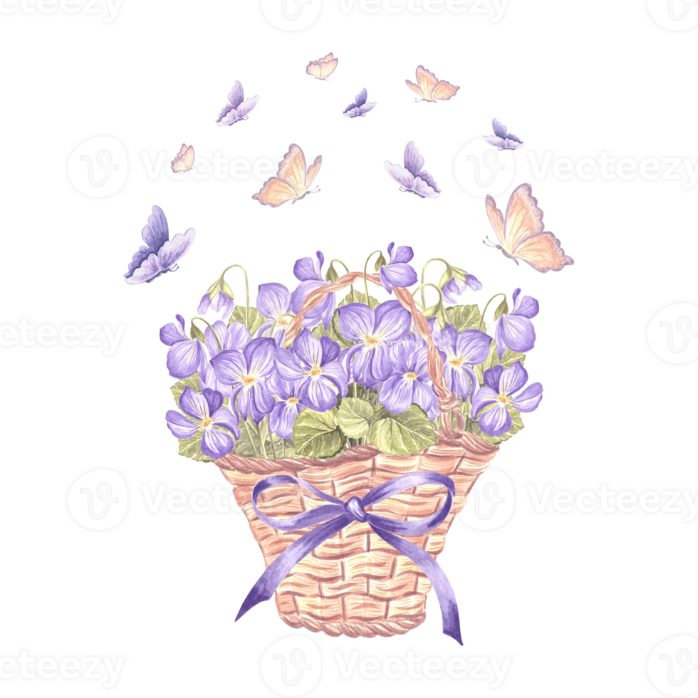 wild viooltjes en vlinders in rieten mand met boog en RBBONEN. voorjaar waterverf illustratie. geïsoleerd hand- getrokken viooltje boeket. wijnoogst tekening sjabloon voor kaart, servies, textiel, borduurwerk. png