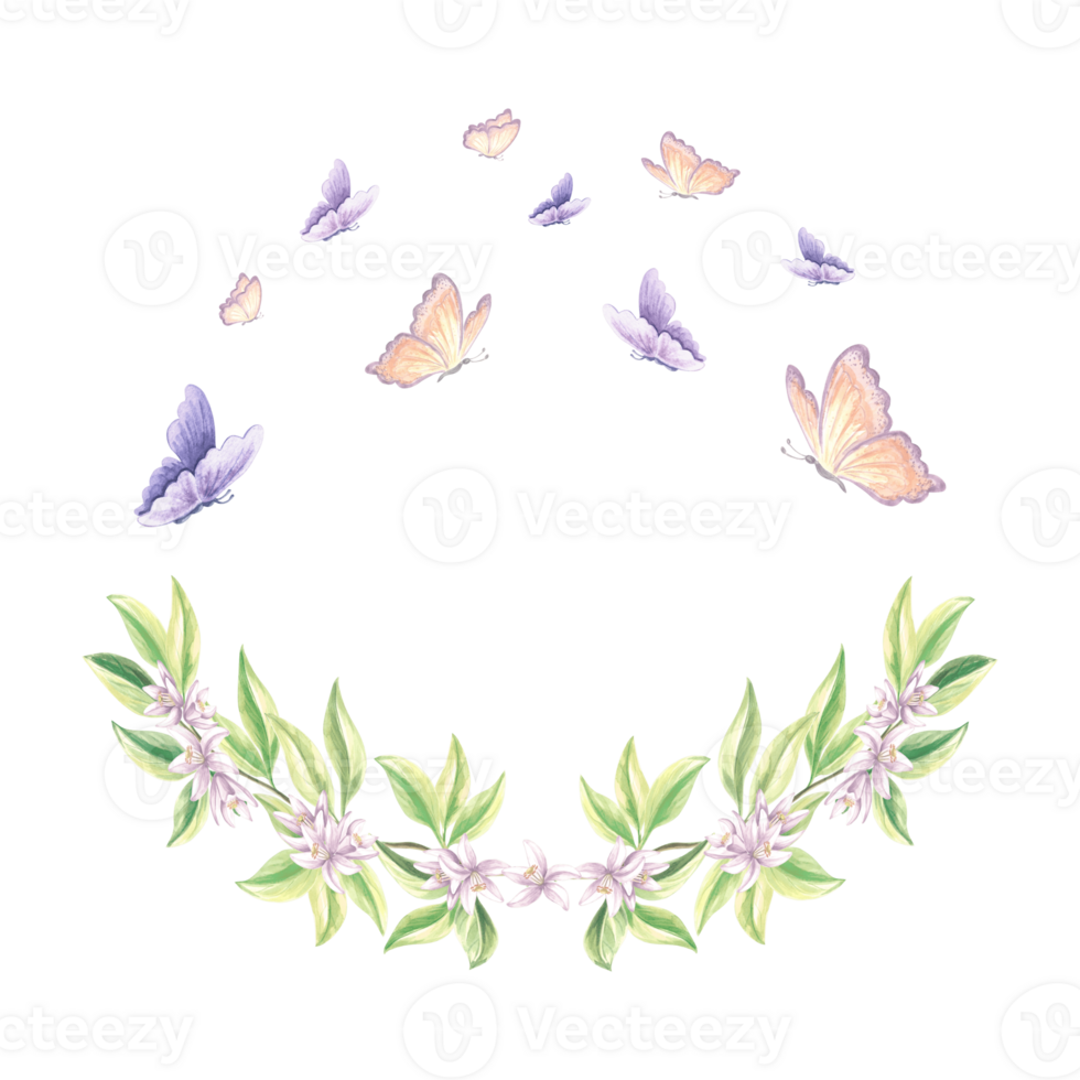 mariposas aleteo terminado cierne rama de agrios árbol. mano dibujado acuarela ilustración primavera flores de naranjas aislado verano modelo para impresión , tarjetas, álbum de recortes, bordado, textil. png