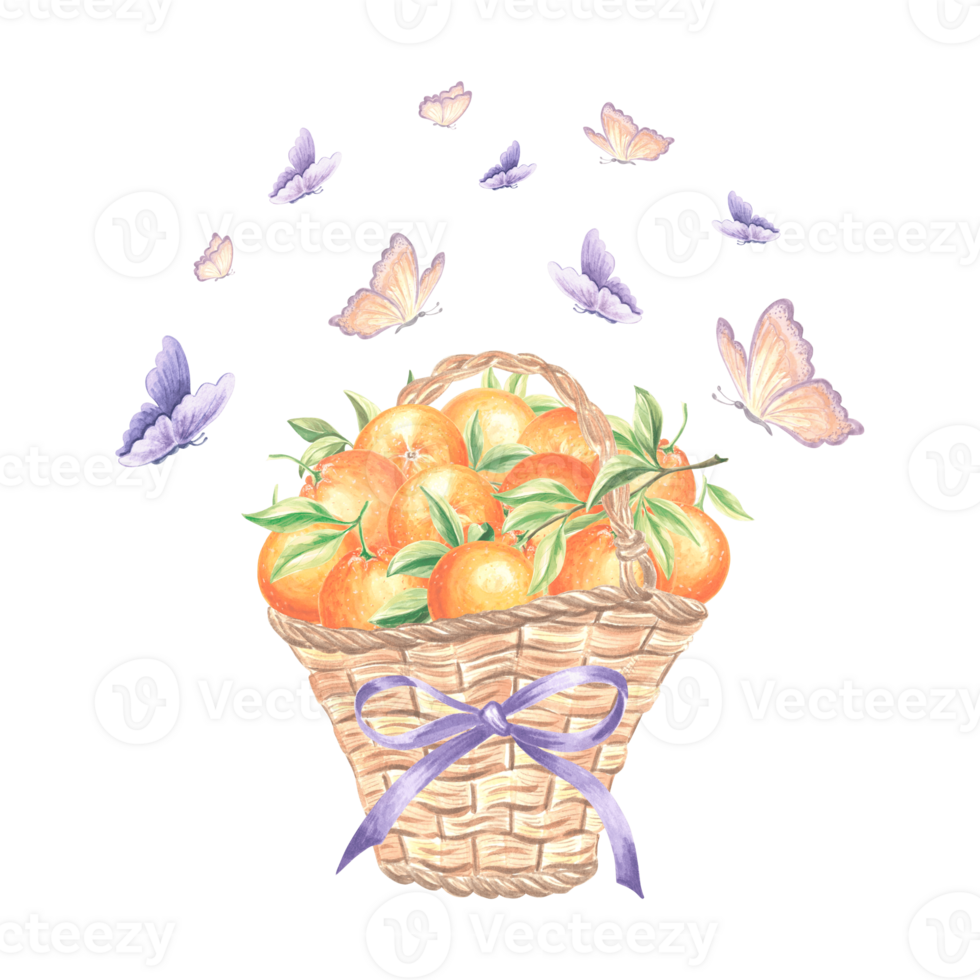 borboletas vibração sobre laranjas frutas dentro vime cesta com roxa arco. mão desenhado aguarela ilustração verão suculento citrino. isolado modelo para impressão , cartão, scrapbooking, bordado, têxtil. png