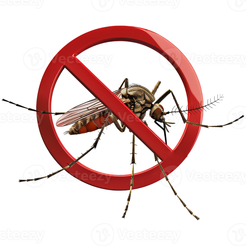 Mosquito inside No symbol. Transparent background, suitable for health, disease prevention and design elements png