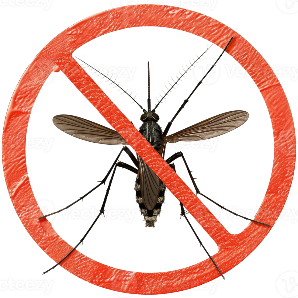 Mosquito inside No symbol. Transparent background, suitable for health, disease prevention and design elements png