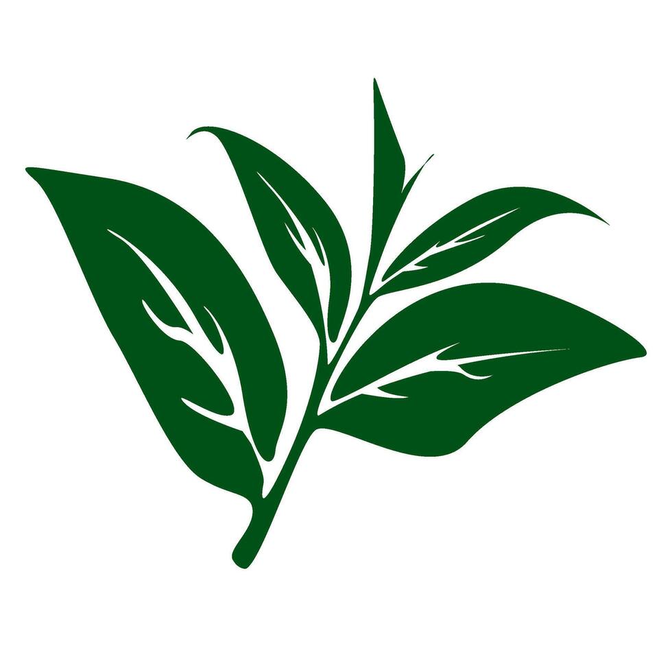 tea leaves silhouette. tea sprout with leaves. silhouette of tea leaves. tea Leaf silhouette. mint leaf. vector