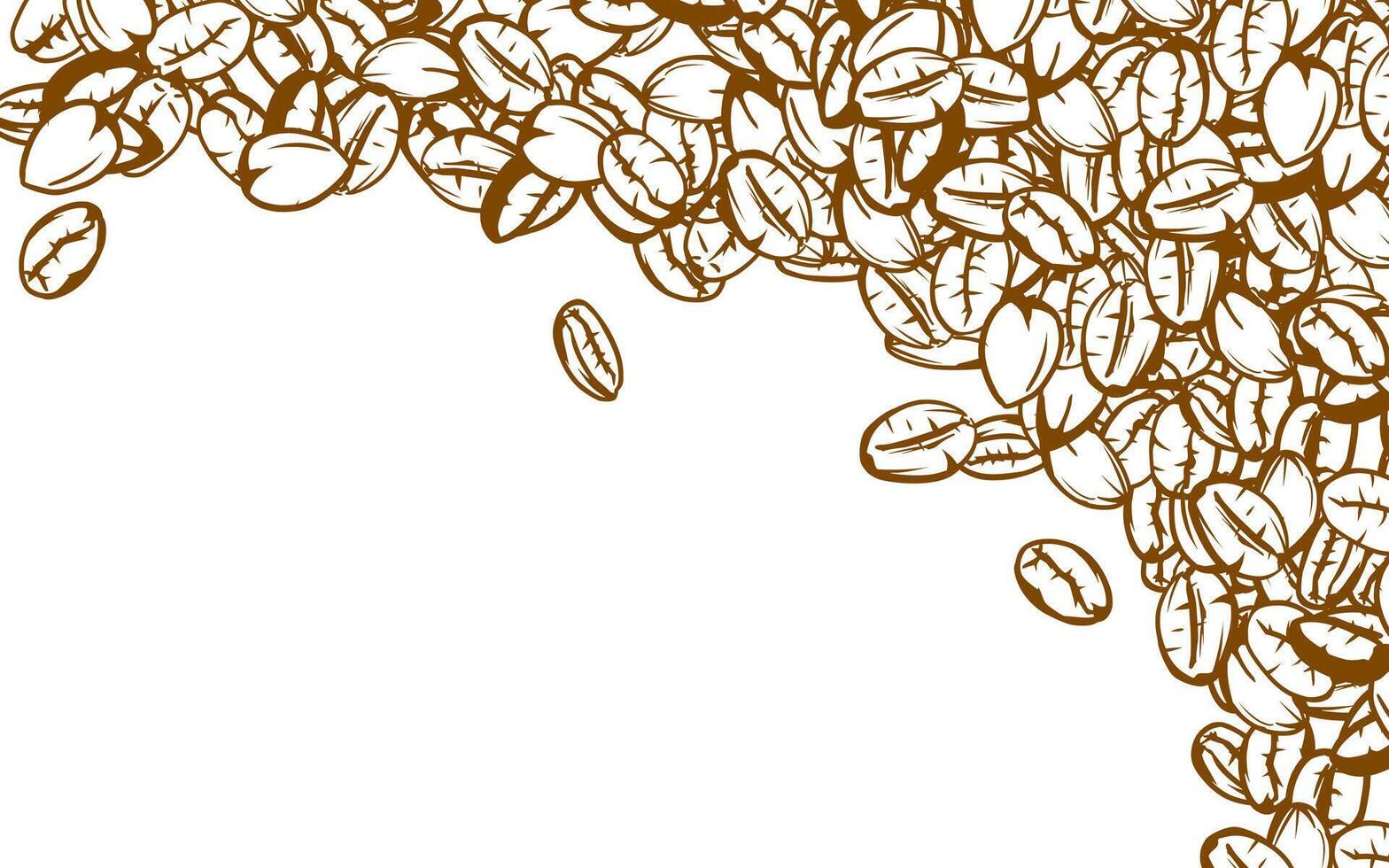 coffee background. Coffee beans in frames, border. Coffee beans background. Coffee Beans Illustration for packaging. vector