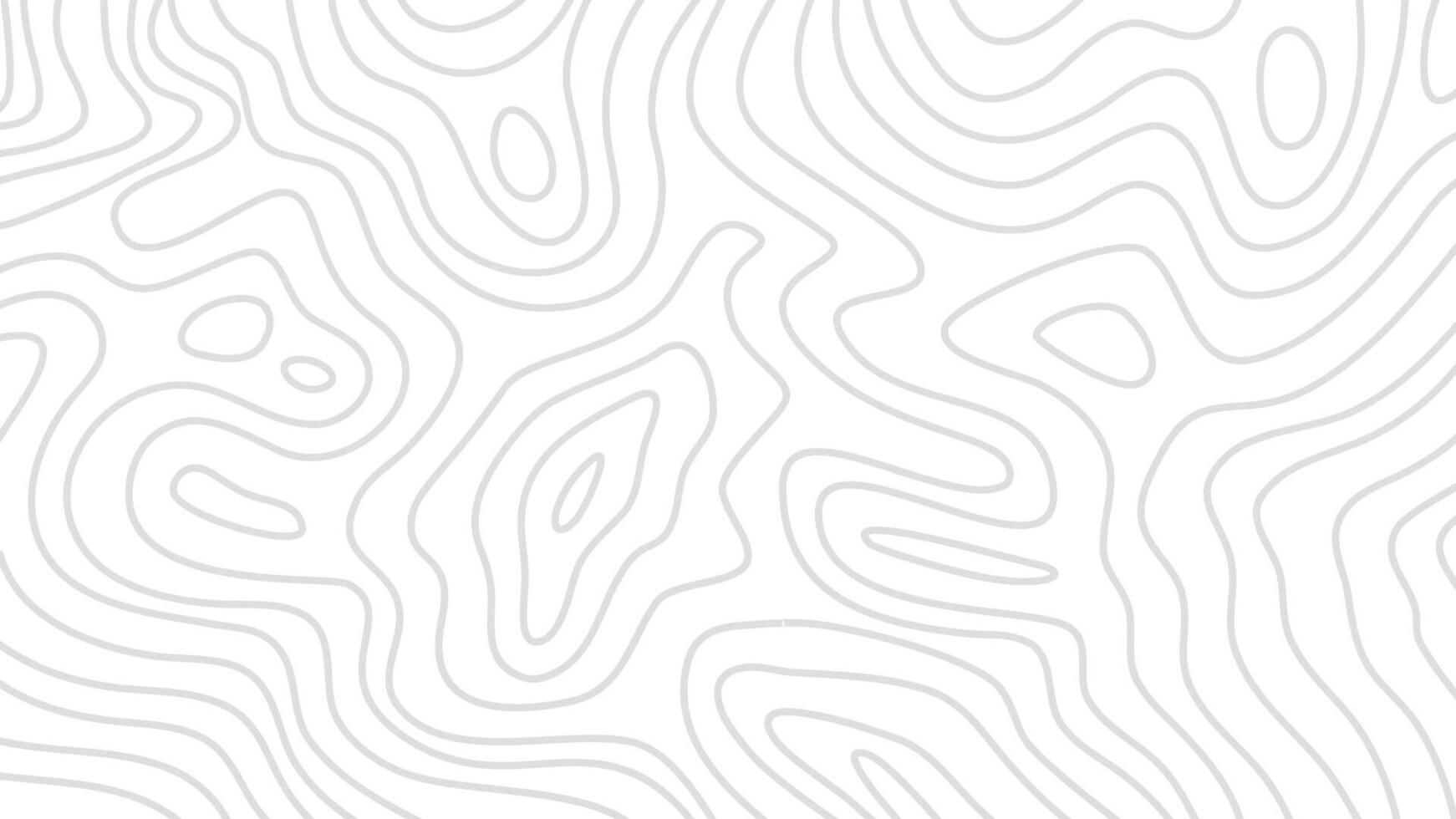 topographic contour background. contour background. modern Topographic map wallpaper. topographic background. abstract wavy background. vector
