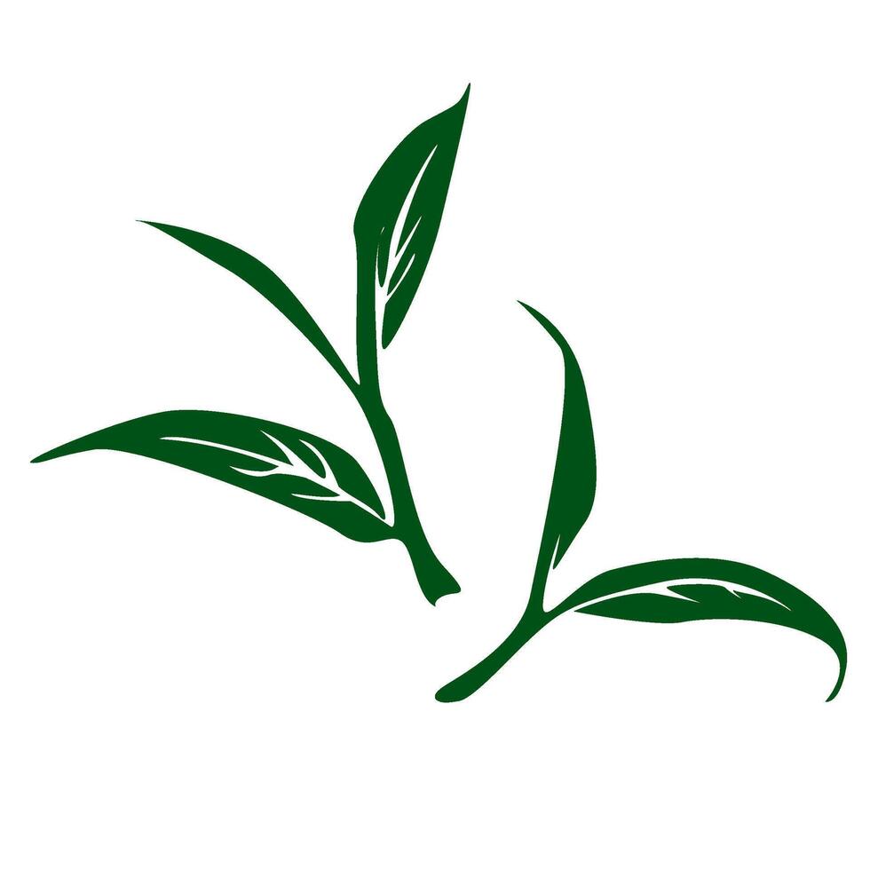 tea leaves silhouette. tea sprout with leaves. silhouette of tea leaves. tea Leaf silhouette. mint leaf. vector