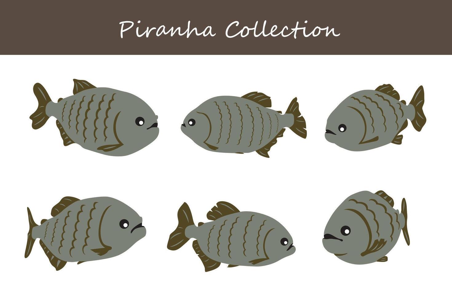 piranha collection. piranha in different poses. vector