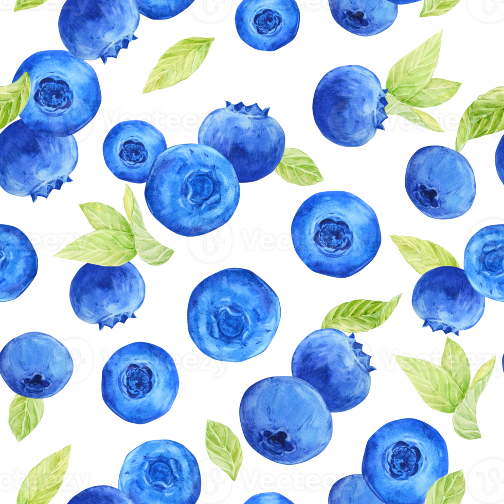 Blueberry watercolor pattern. Seamless pattern of ripe berries on a transparent background. Botanical hand drawn illustration for fabric, textile, wallpaper, wrapping paper. png