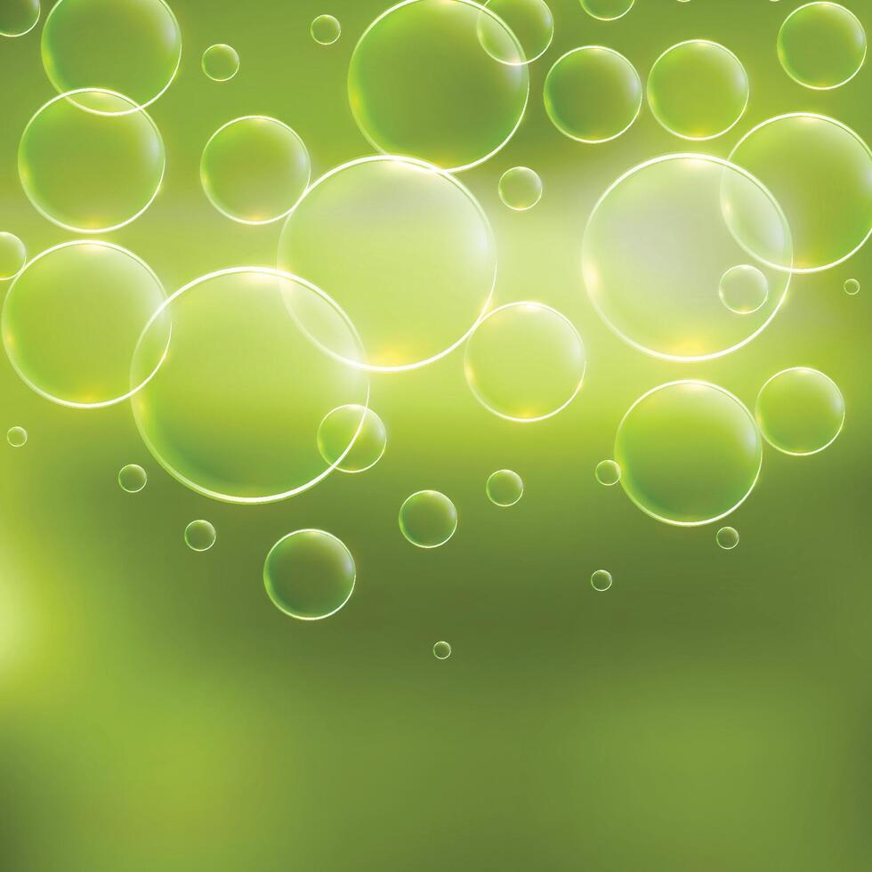 abstract green background with bubbles vector