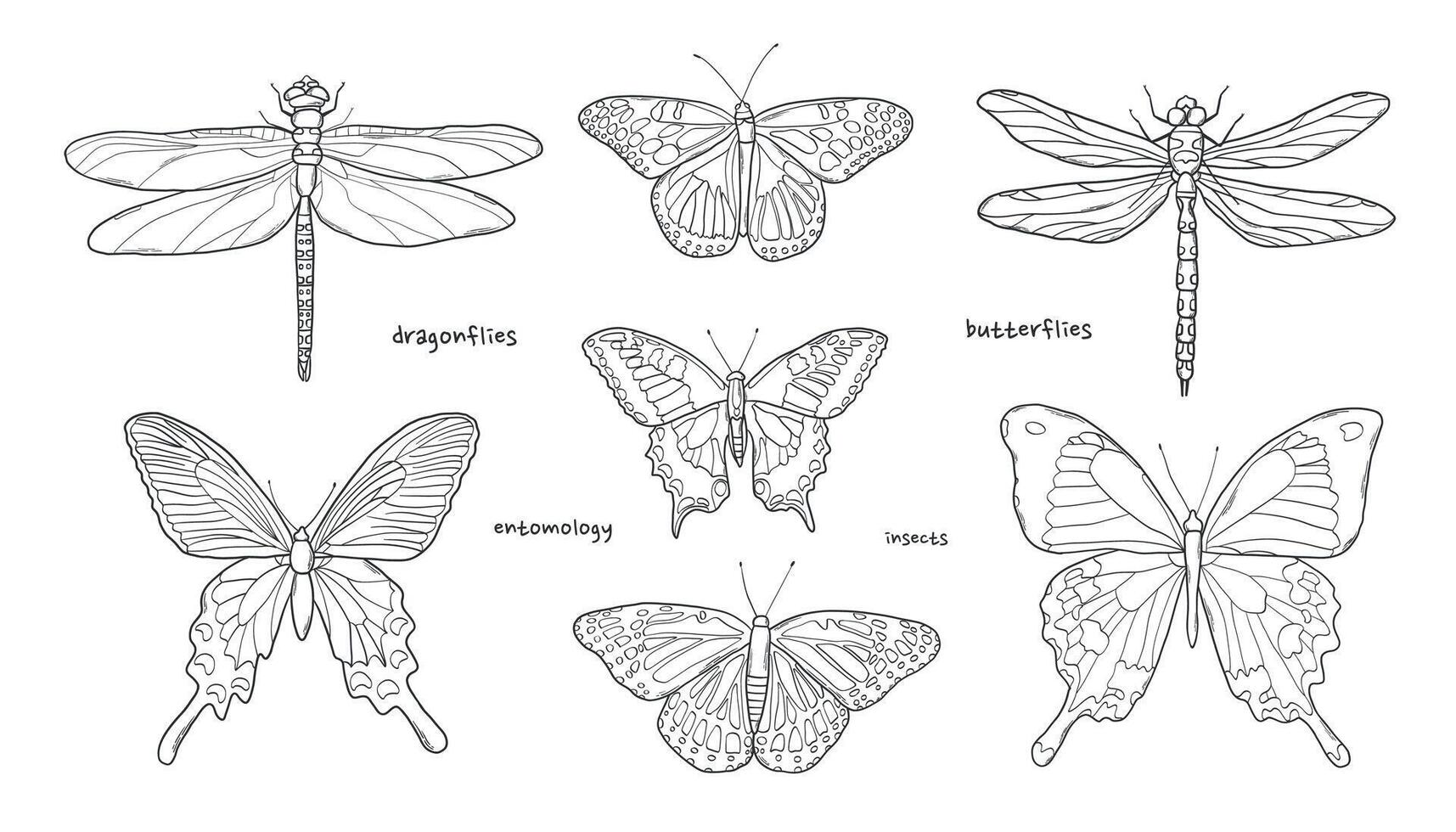 Set of hand drawn dragonflies and butterflies for stickers, prints, cards, coloring page, scrapbooking, etc. EPS 10 vector
